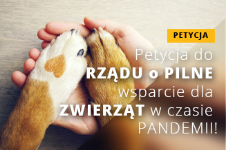 Petycja Wsparcie dla zwierząt